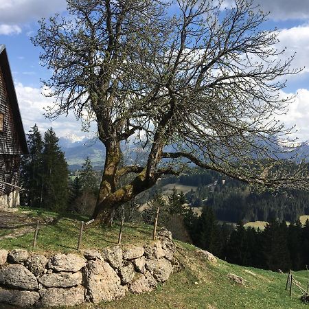 Fewo In Tiefenberg/ Allgaeu Ofterschwang Exterior foto